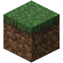 Minecraft Server – Gras